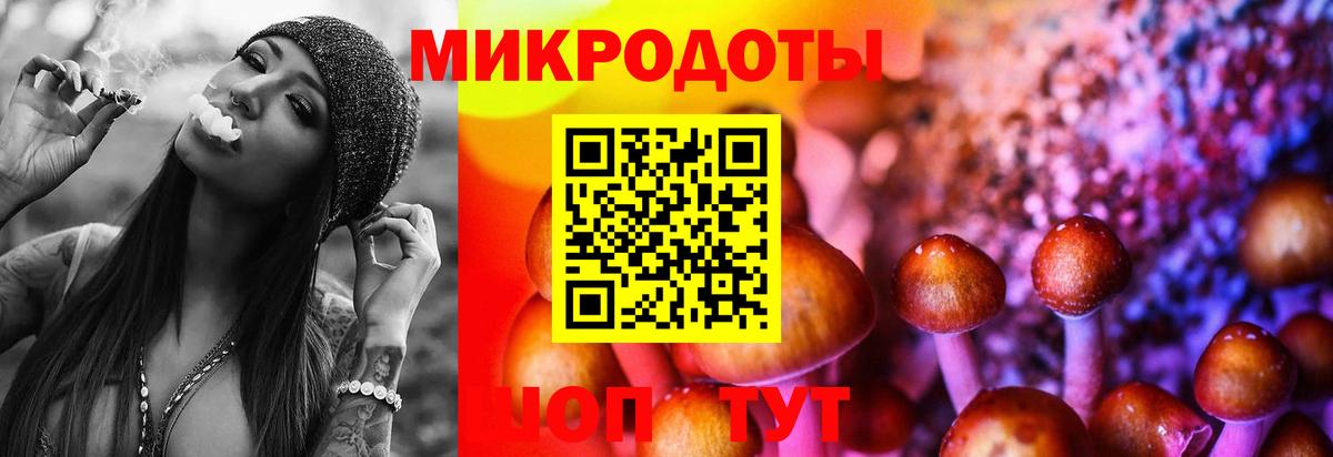Галлюциногенные грибы Magic Shrooms  закладка  Сосновоборск  Псилоцибиновые грибы ЛСД  Вход с VPN 
